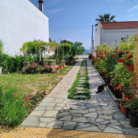 Apartament Annas House Psakoudia Zewnętrze zdjęcie